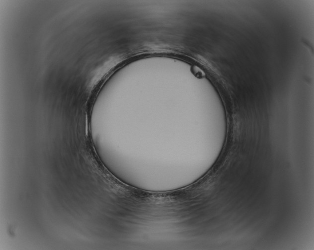 X0000100871269200807181228