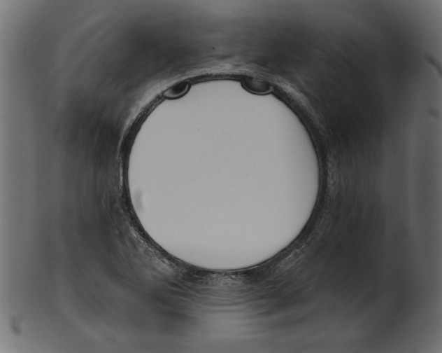X0000100871270200807181228