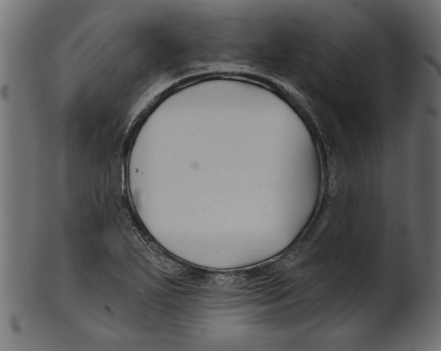 X0000100871271200807181228