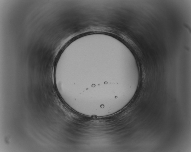 X0000100871272200807181228
