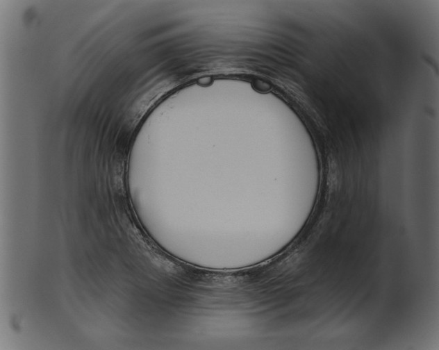 X0000100871273200807181228