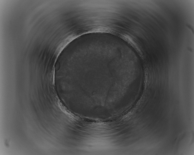 X0000100871276200807181228