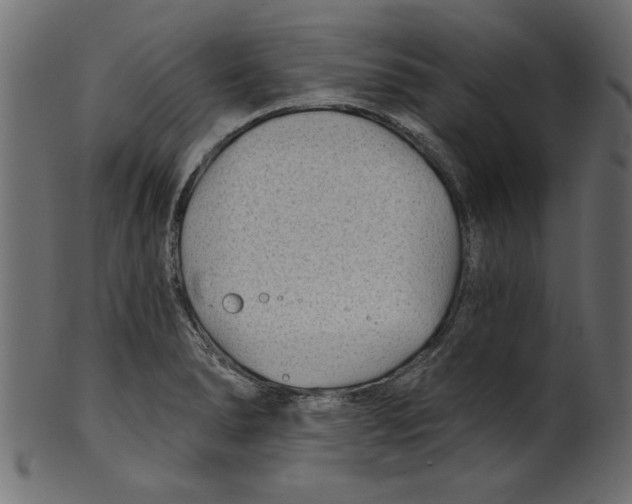 X0000100871278200807181228