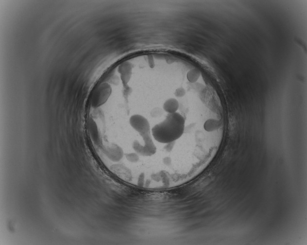 X0000100871279200807181228