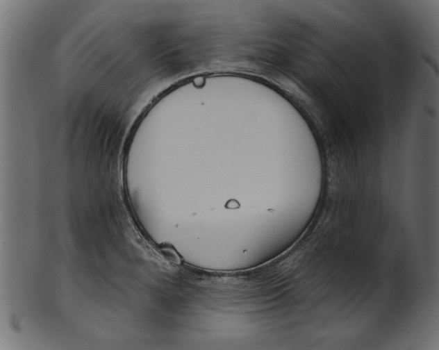 X0000100871280200807181228