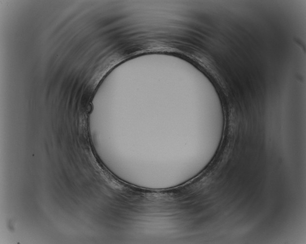 X0000100871281200807181228
