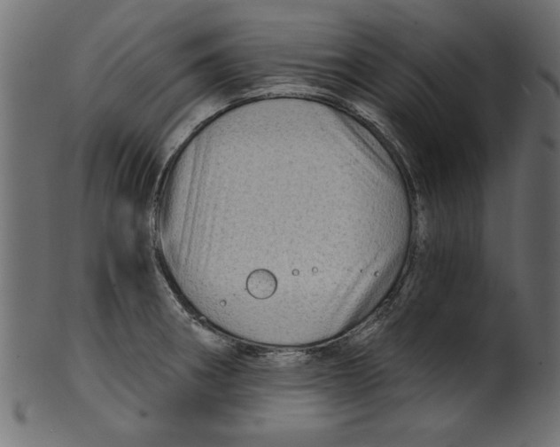 X0000100871282200807181228