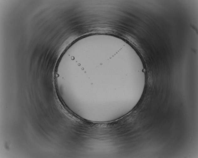 X0000100871283200807181228