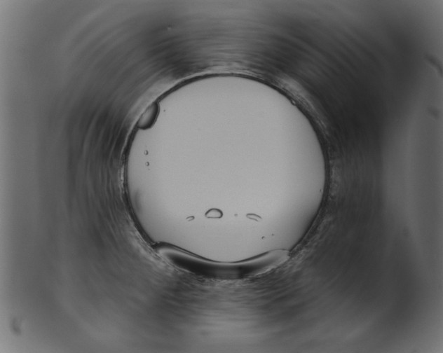 X0000100871284200807181228