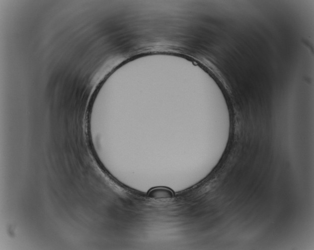 X0000100871285200807181228