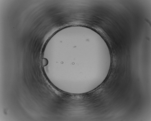 X0000100871286200807181228