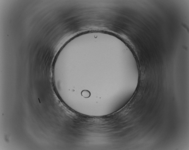 X0000100871287200807181228