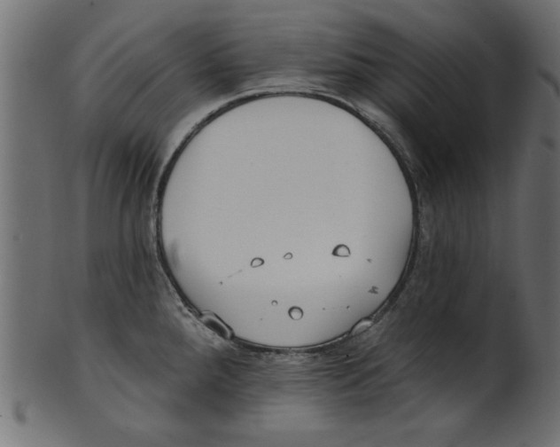 X0000100871288200807181228