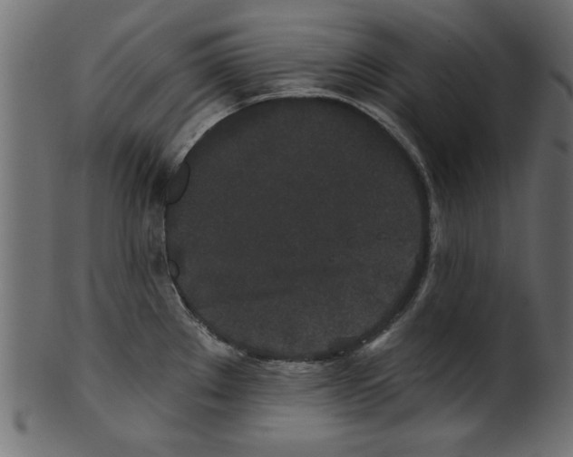X0000100871289200807181228