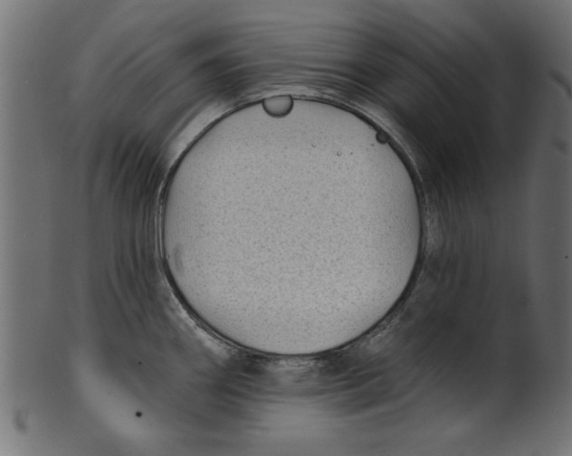 X0000100871290200807181228