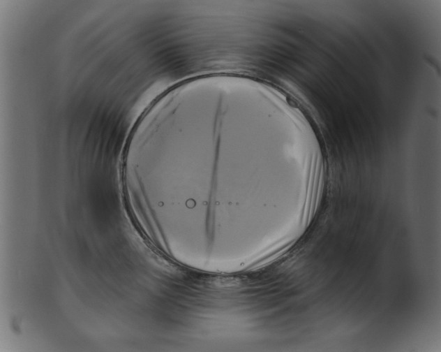 X0000100871291200807181228