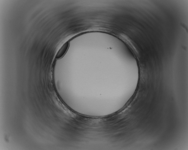 X0000100871292200807181228