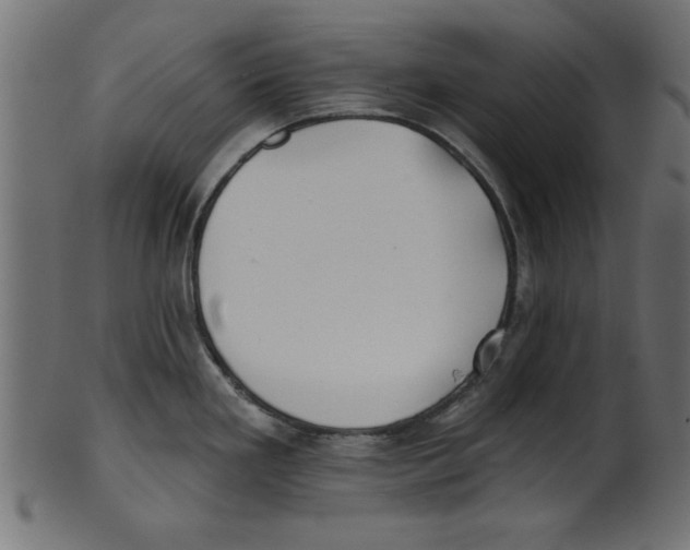 X0000100871293200807181228