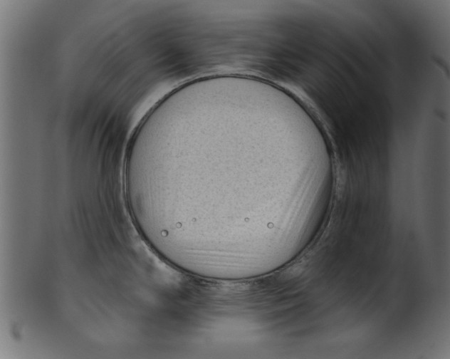 X0000100871294200807181228