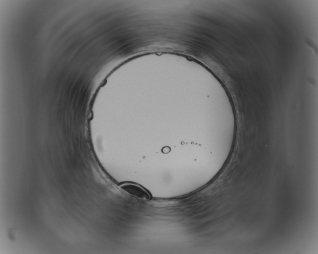 X0000100871296200807181228