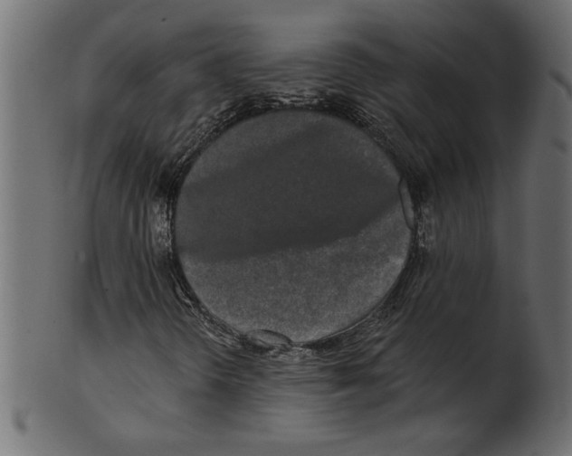 X0000100871298200807181227