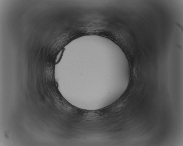 X0000100871300200807181227