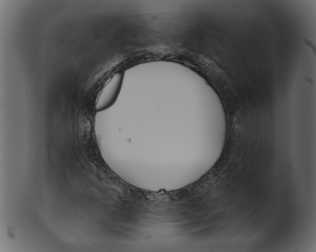 X0000100871302200807181227