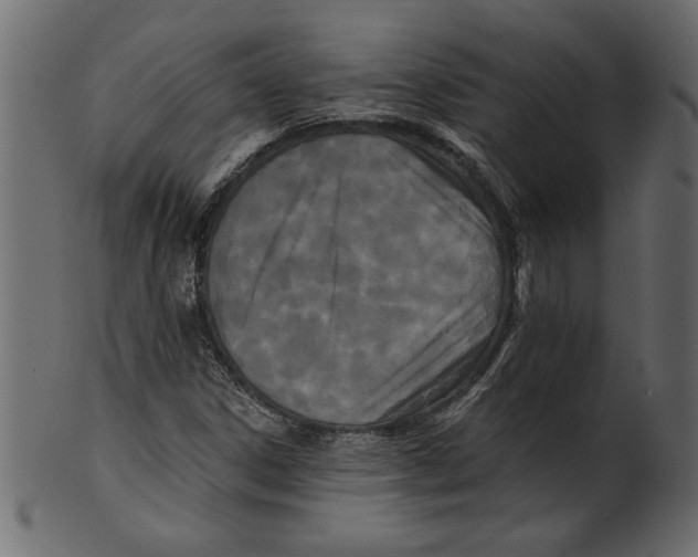 X0000100871306200807181227