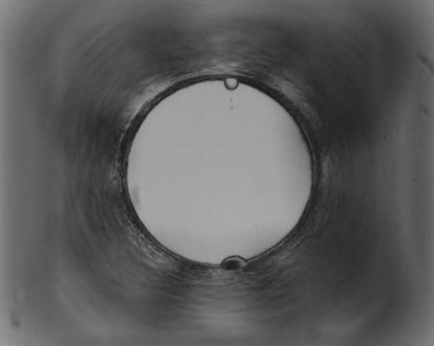 X0000100871308200807181227
