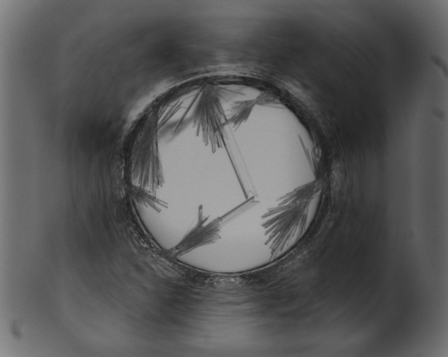 X0000100871310200807181227