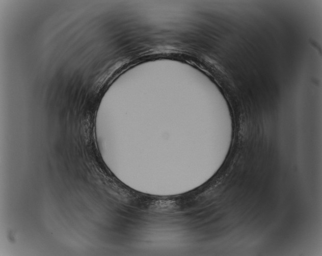 X0000100871313200807181227