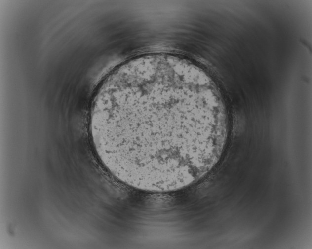 X0000100871314200807181227