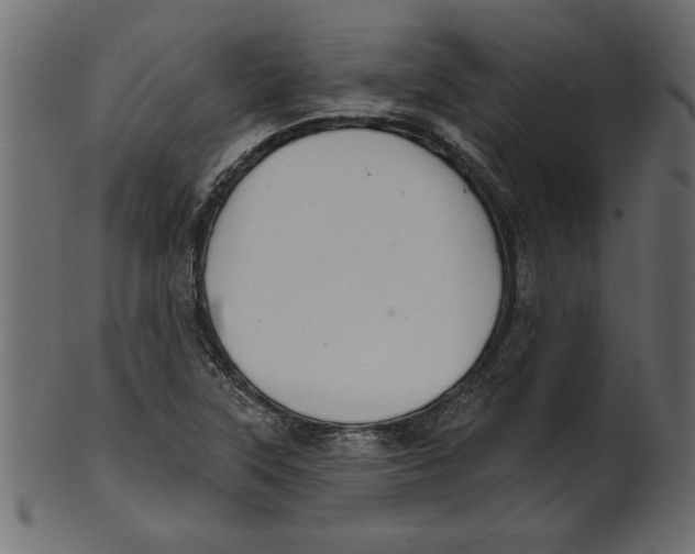 X0000100871315200807181228