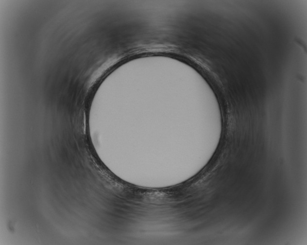 X0000100871317200807181228