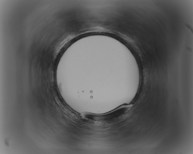 X0000100871318200807181228