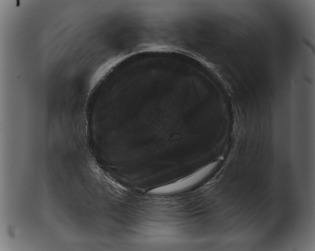 X0000100871319200807181228