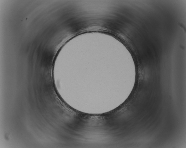 X0000100871322200807181228