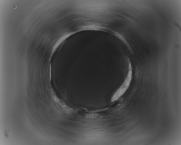 X0000100871323200807181228