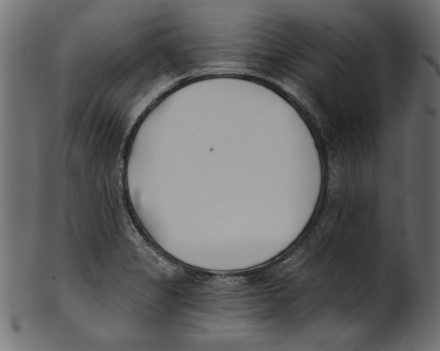 X0000100871325200807181228