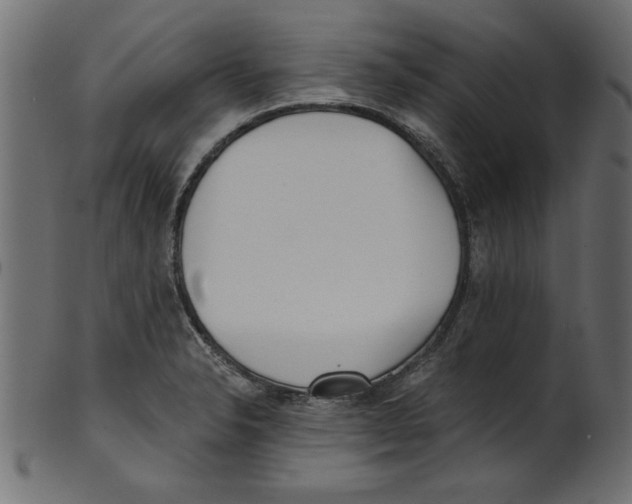 X0000100871326200807181228