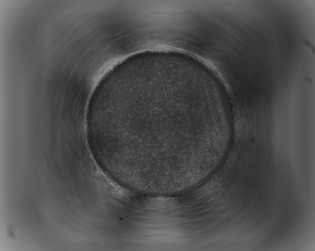 X0000100871327200807181228