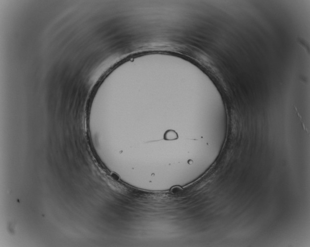 X0000100871328200807181228