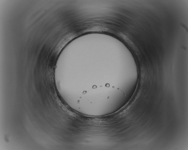 X0000100871329200807181228