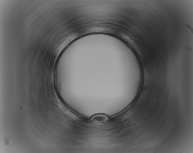 X0000100871330200807181228