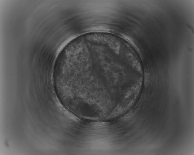 X0000100871331200807181228