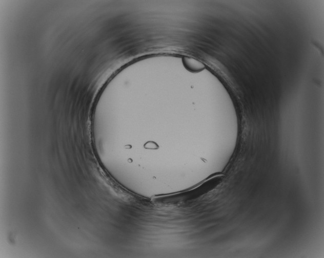 X0000100871332200807181228