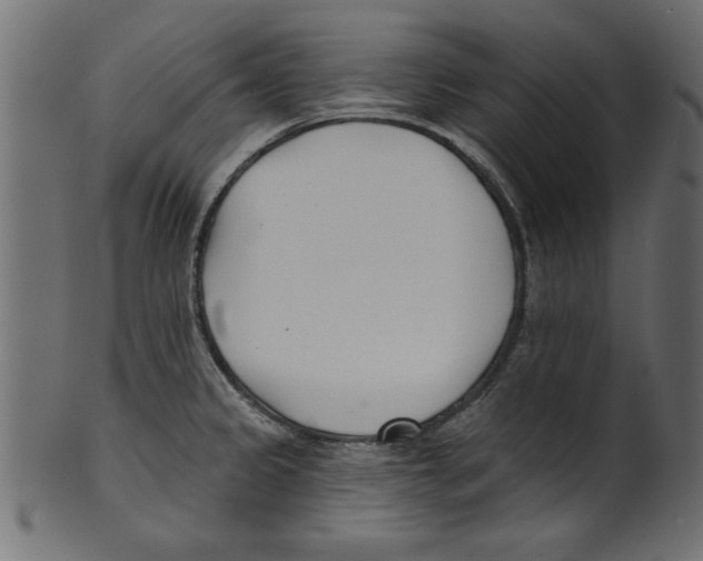 X0000100871333200807181228