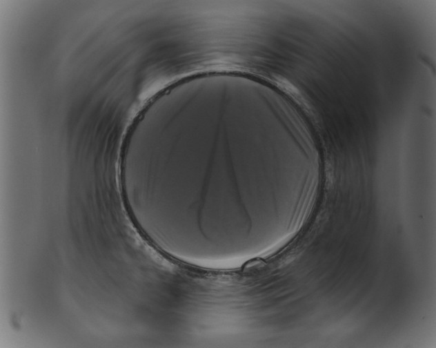 X0000100871334200807181228