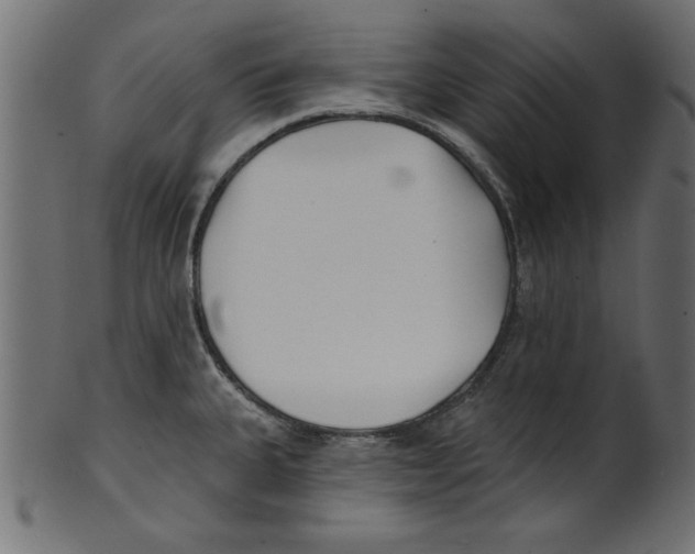 X0000100871335200807181228