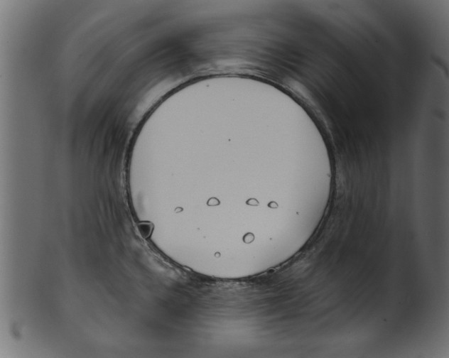 X0000100871336200807181228